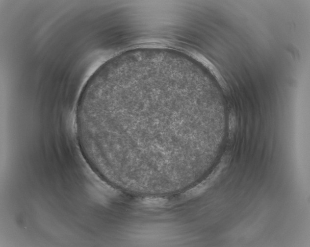 X0000111471466200908241331