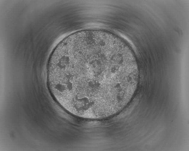 X0000111471467200908241331