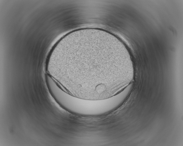 X0000111471468200908241331