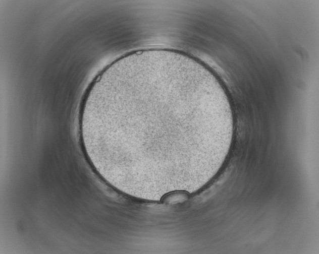 X0000111471469200908241331