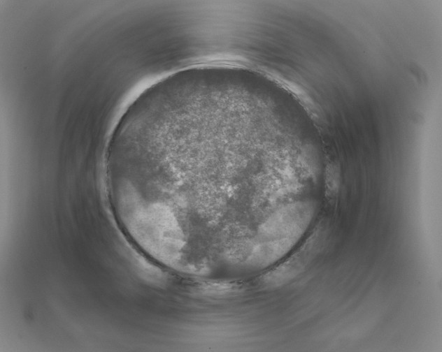 X0000111471470200908241331