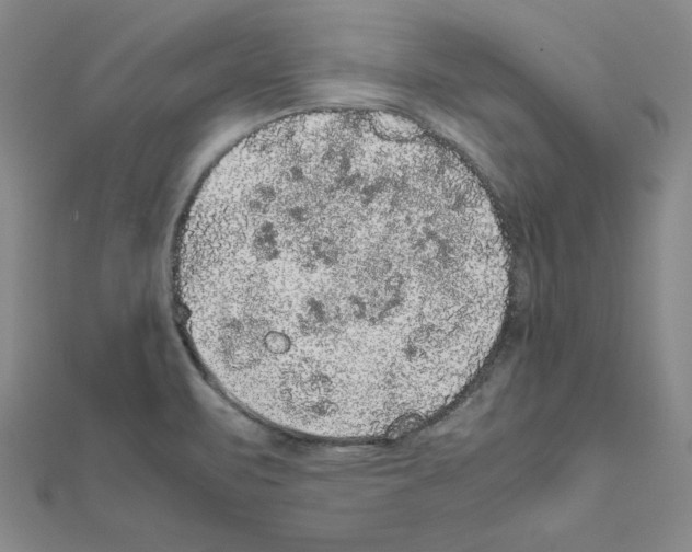 X0000111471471200908241331