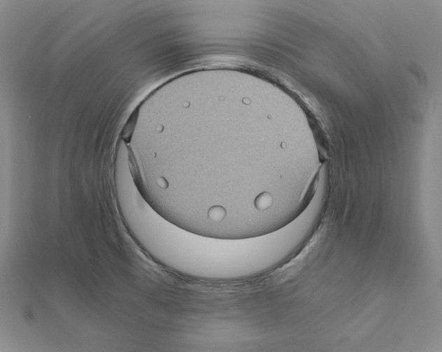 X0000111471473200908241331