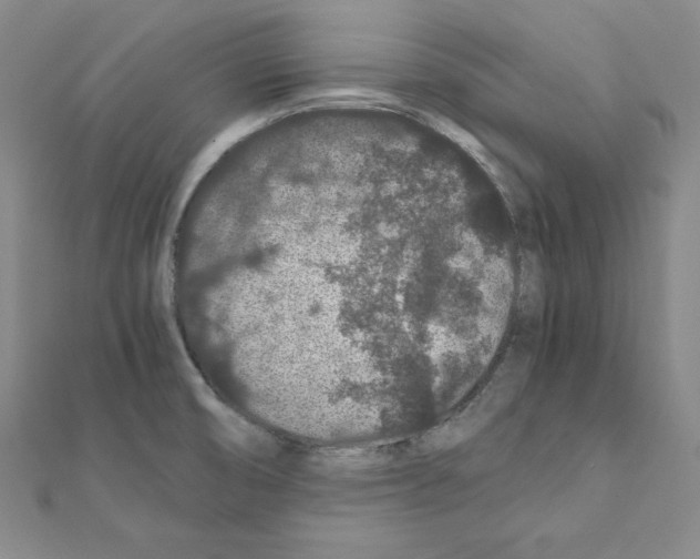 X0000111471474200908241331