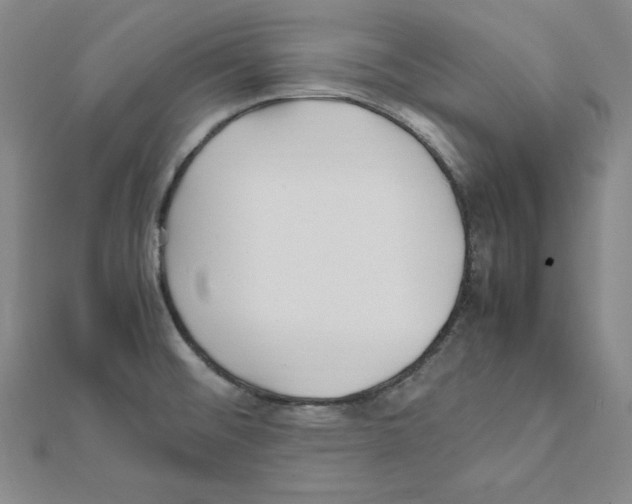 X0000111471476200908241331