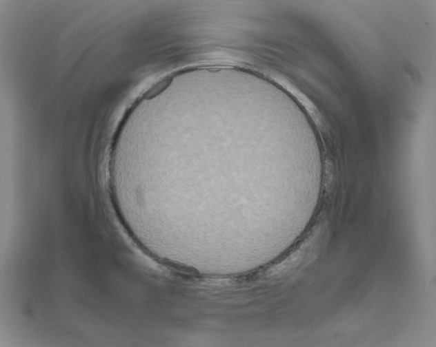 X0000111471477200908241331