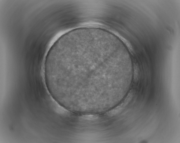 X0000111471478200908241331