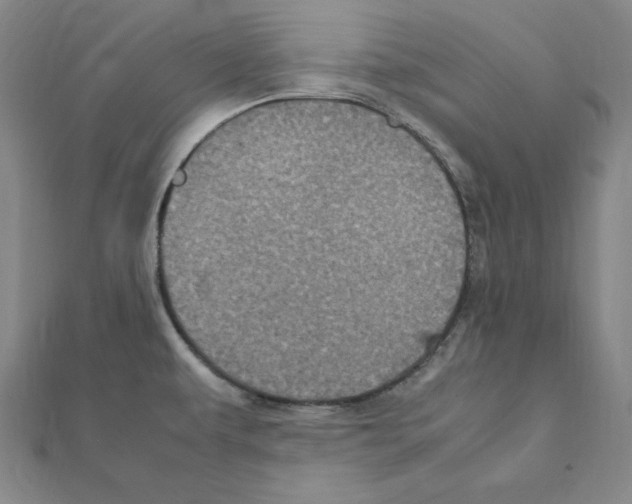 X0000111471479200908241331