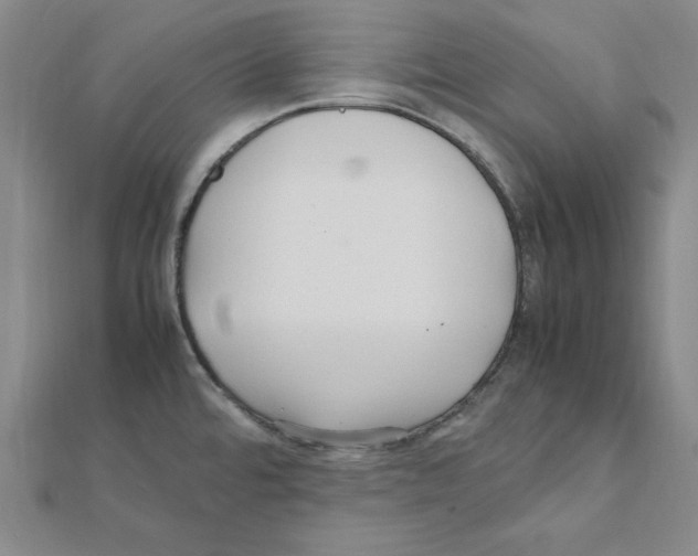 X0000111471480200908241331