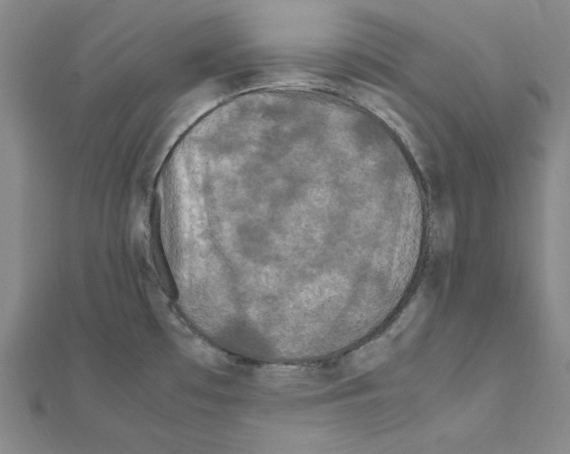 X0000111471481200908241331