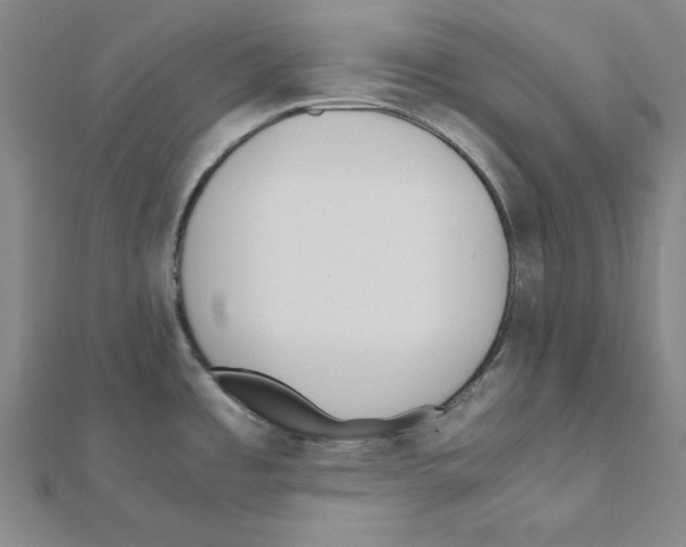 X0000111471485200908241331