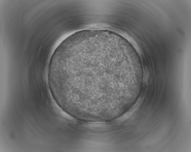 X0000111471486200908241331