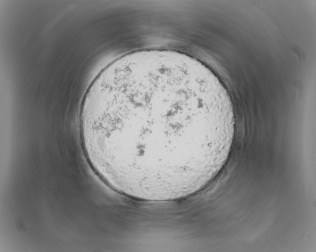 X0000111471487200908241331