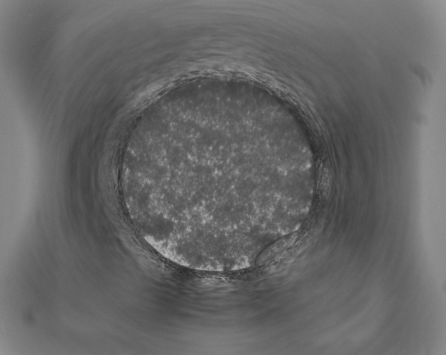 X0000111471489200908241330