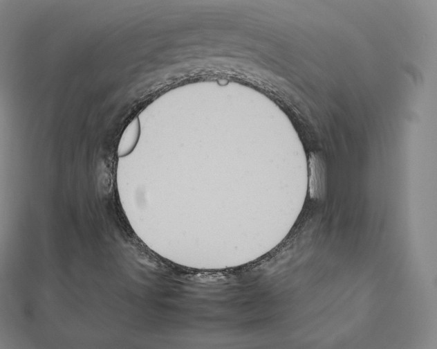 X0000111471491200908241330