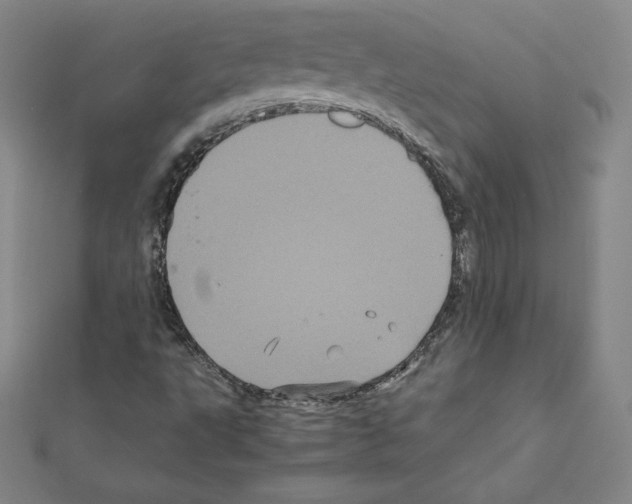 X0000111471495200908241330