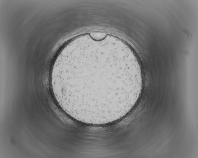 X0000111471499200908241330