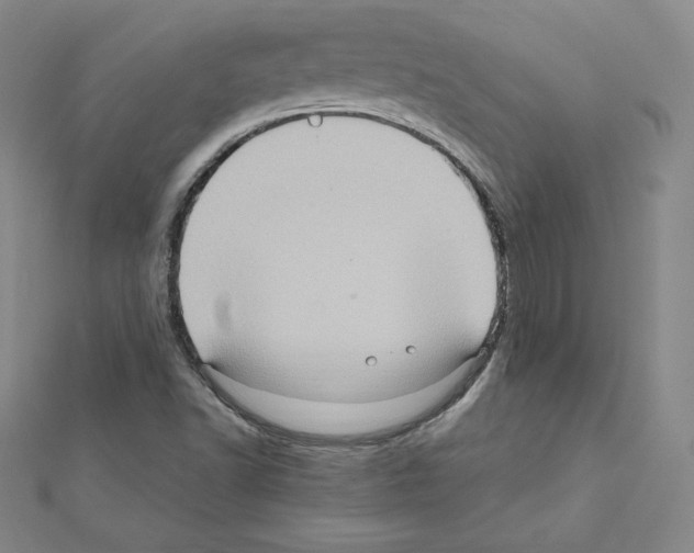 X0000111471502200908241330