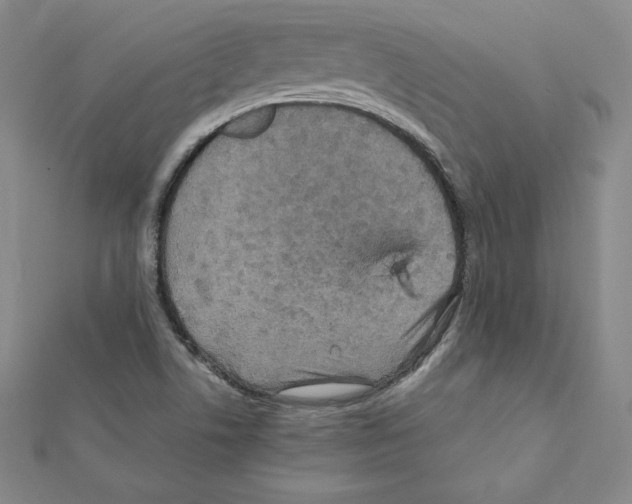 X0000111471506200908241330