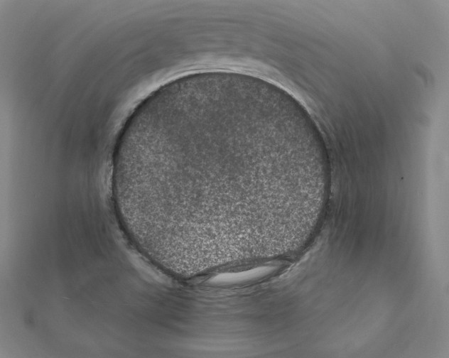 X0000111471507200908241330