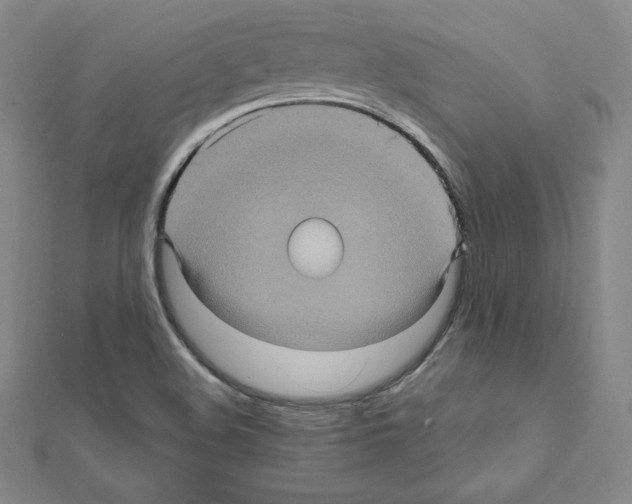 X0000111471508200908241330