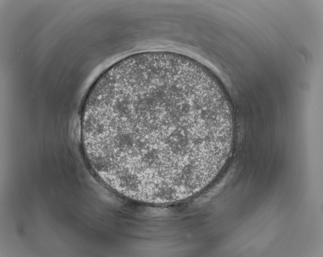 X0000111471509200908241330