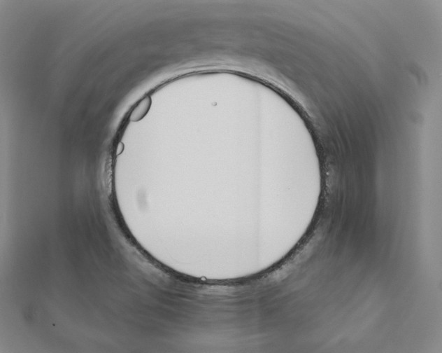 X0000111471510200908241330