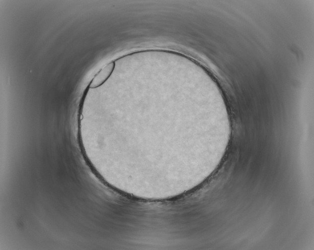 X0000111471512200908241330