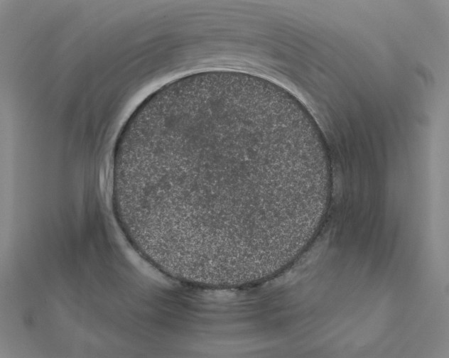 X0000111471515200908241330