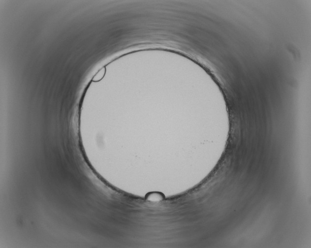 X0000111471516200908241330