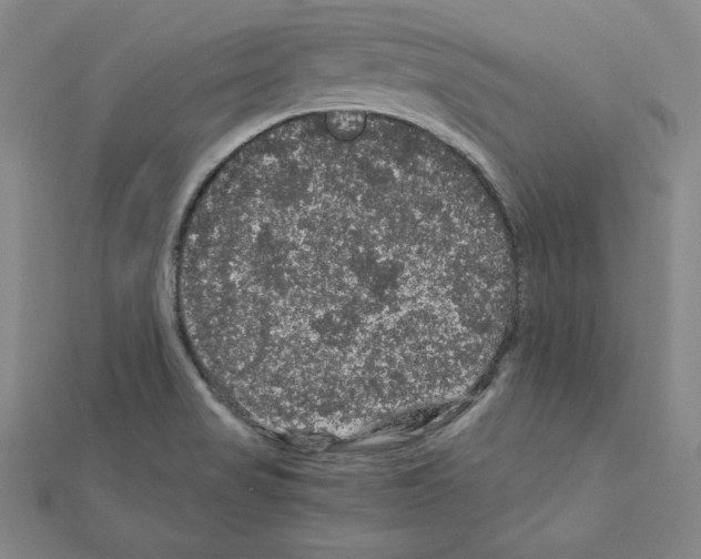 X0000111471517200908241330