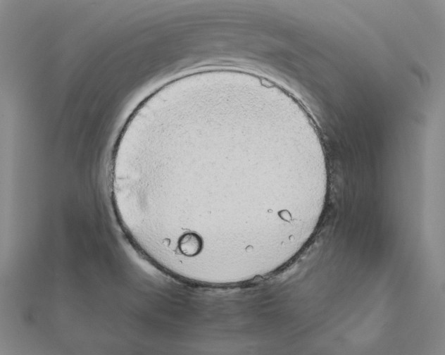 X0000111471519200908241330