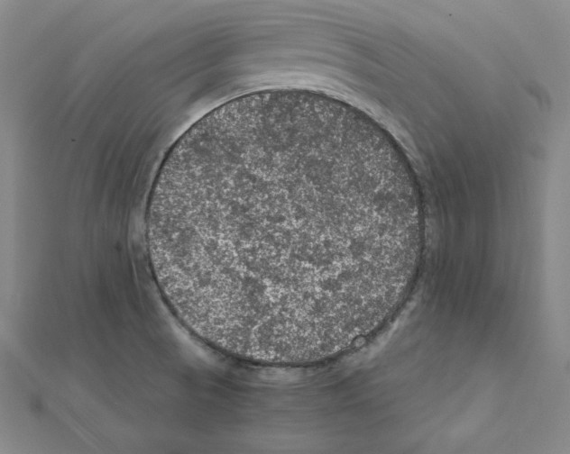 X0000111471521200908241330