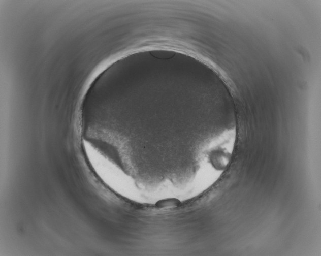 X0000111471522200908241330