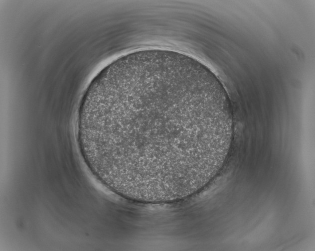 X0000111471523200908241330