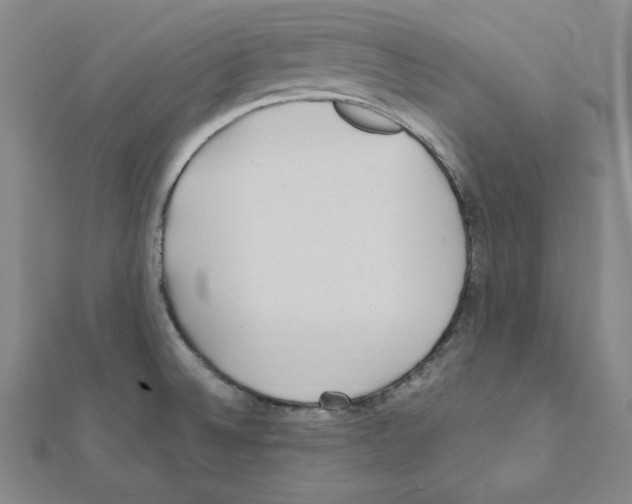 X0000111471524200908241330