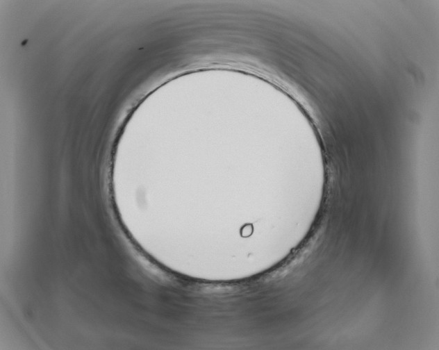 X0000111471525200908241330