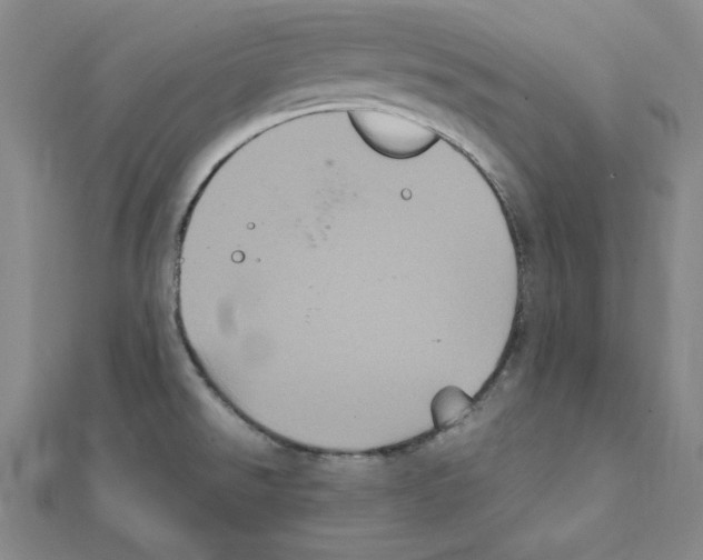 X0000111471526200908241331