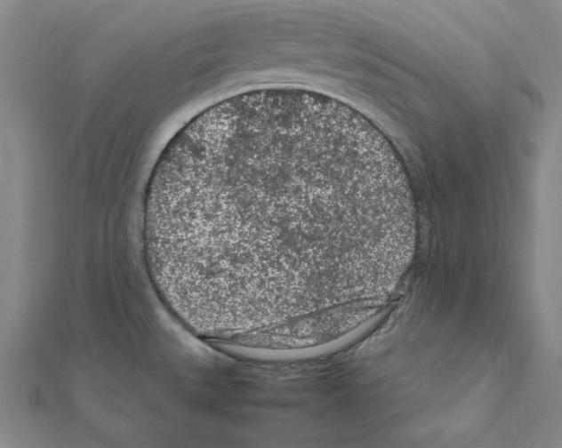 X0000111471527200908241331