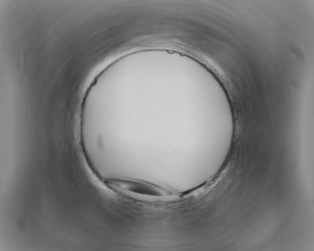 X0000111471528200908241331