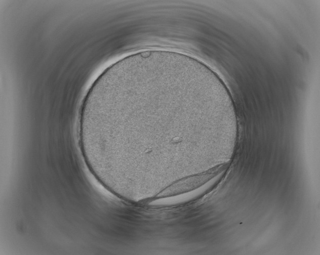 X0000111471531200908241331