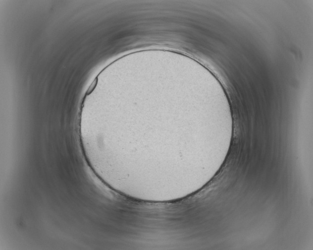 X0000111471532200908241331