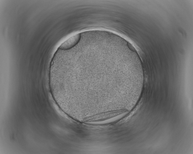 X0000111471534200908241331