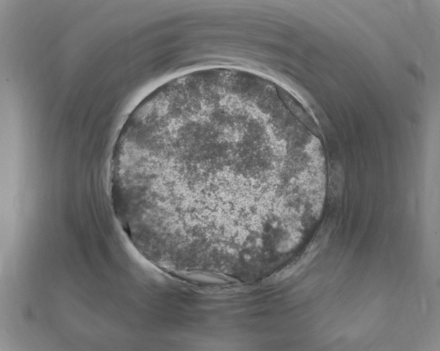 X0000111471535200908241331