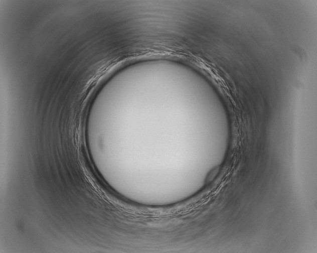X0000111480002200907141052