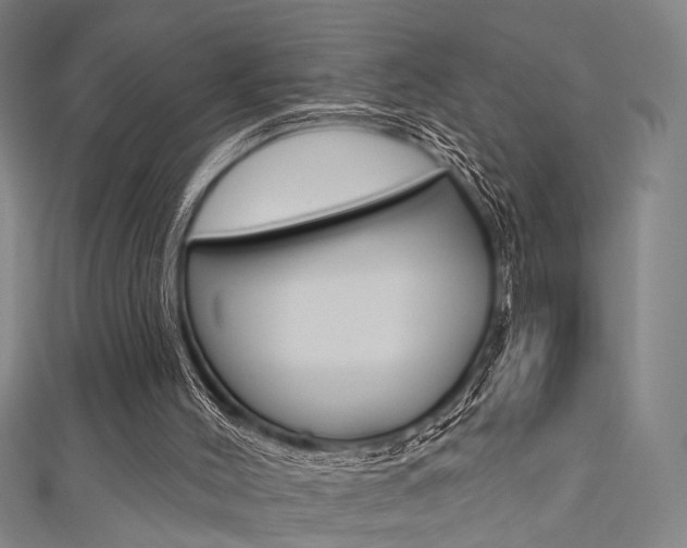 X0000111480004200907141052