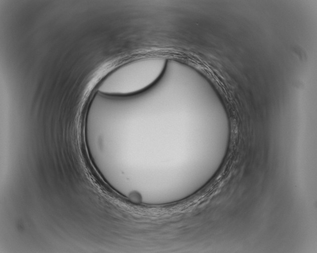 X0000111480006200907141052