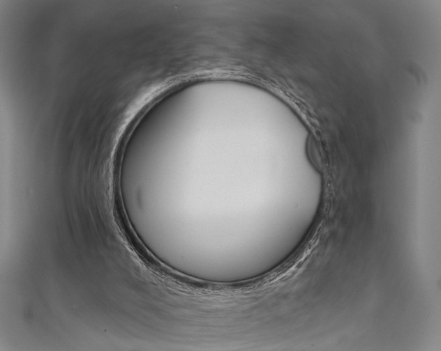 X0000111480008200907141052