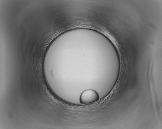 X0000111480009200907141052
