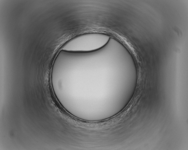 X0000111480010200907141052